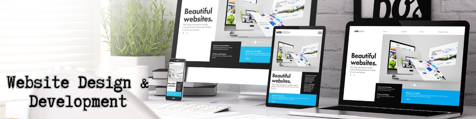 Website Design & Development